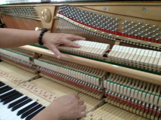 调音师培训学校_钢琴调音师收入(2)