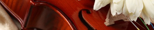 red,string instrument,string instrument,textile,wood