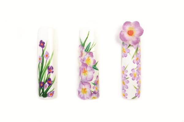 petal,flower,vase,